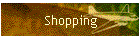 Shopping